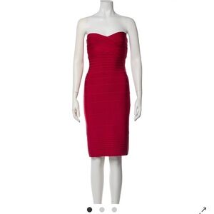 Herve Leger Strapless Dress